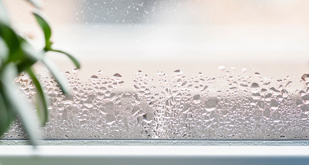 Important Facts to Know About Window Condensation | New Windows for America