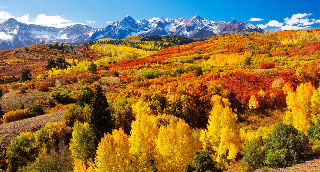 Its Leaf Peeping Season | Colorado Fall | New Windows for America