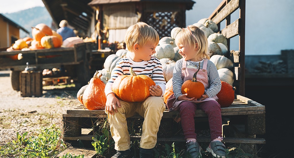 Harvest Fun & Pumpkin Festivals in Colorado