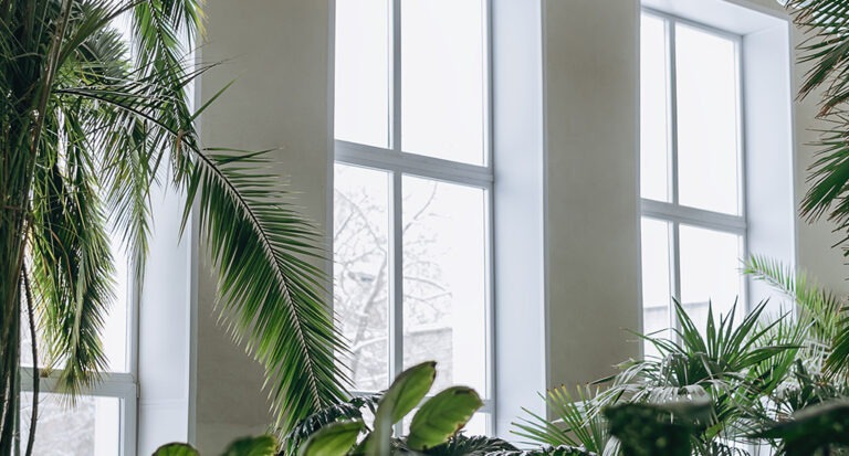 Incorporating Biophilic Design into your Home | New Windows for America