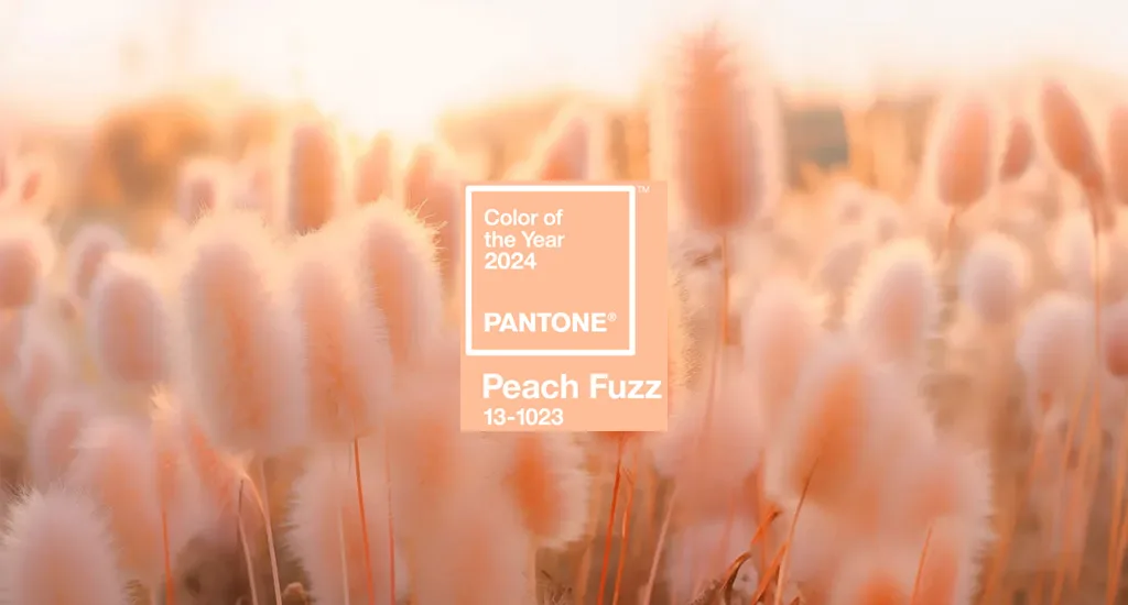 How to Use “Peach Fuzz”, Pantone’s Color of the Year 2024, in Your Home