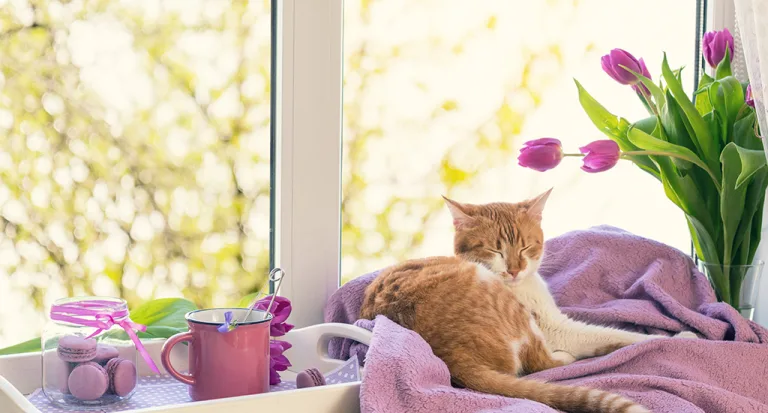 Time for a Spring Check-Up for Your Colorado Home