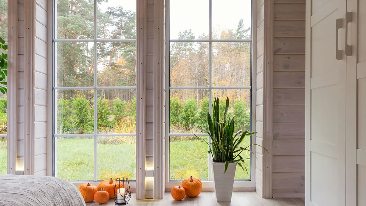 Transitioning Your Home from Summer to Fall with New Windows for America