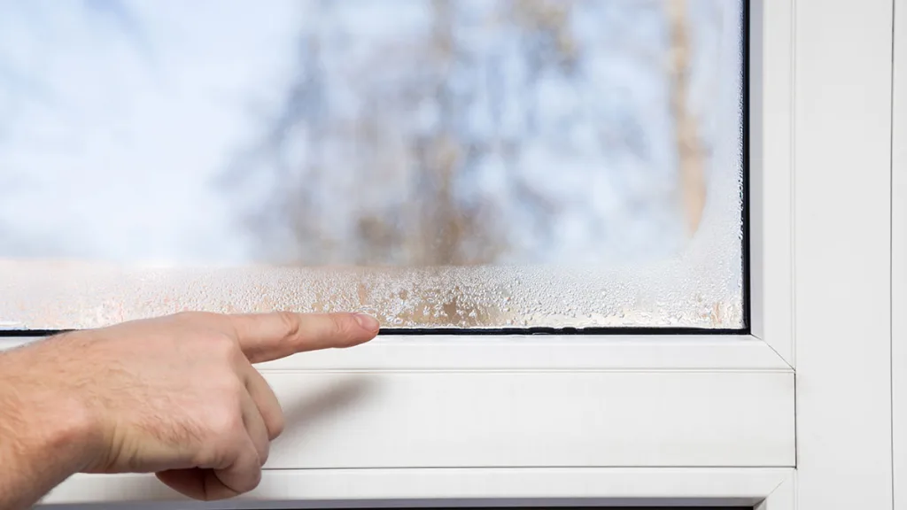 Understanding Window Condensation: Causes and Solutions