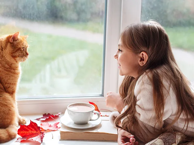Top Fall Maintenance Tips for Your Home