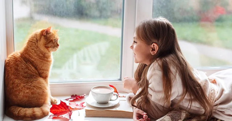 Fall Maintenance Tips for Your Colorado Home