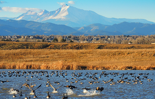 Windows installations and service area coverage across Frederick neighborhoods