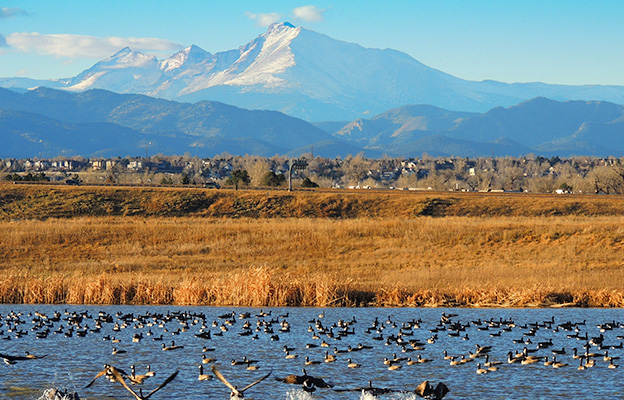 Window installations and exterior upgrades serving Dacono neighborhoods