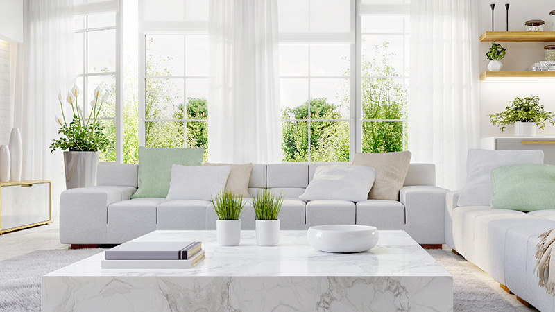 Highlands Ranch neighborhood home with new windows