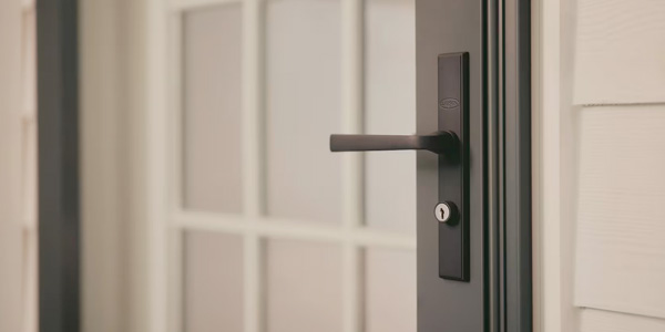 Larson Security Series door