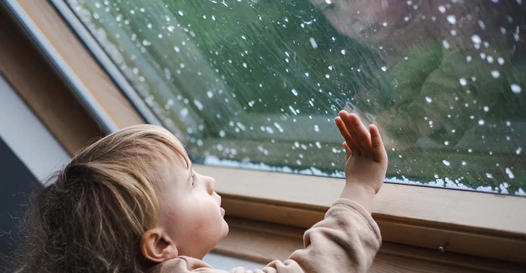 Spring Showers Bring Flowers… and Leaky Windows