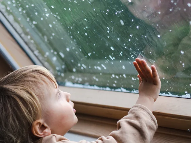 Spring Showers Bring Flowers… and Leaky Windows
