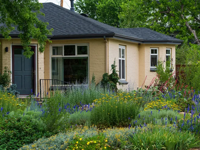 Water Restrictions Across Denver & the Front Range: What Homeowners Need to Know in 2026