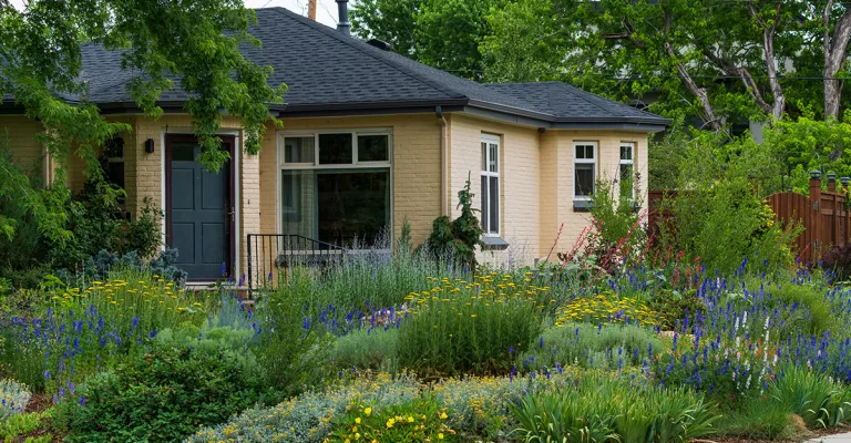 Water Restrictions Across Denver & the Front Range