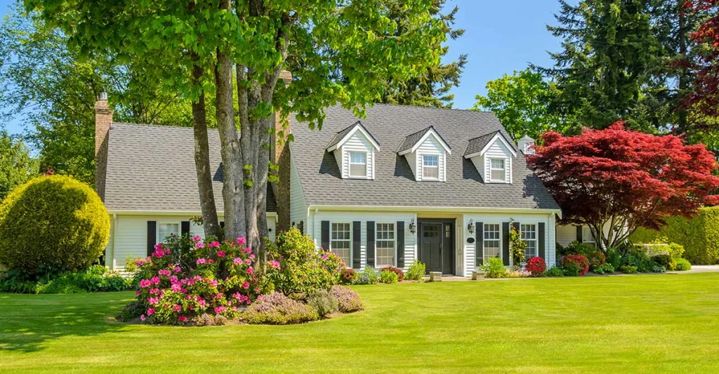 Best Home Improvement Projects to Tackle in June in Colorado