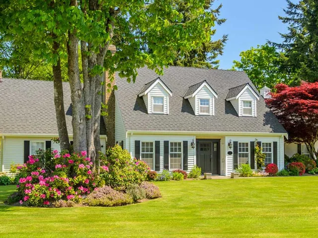 Best Home Improvement Projects to Tackle in June in Colorado